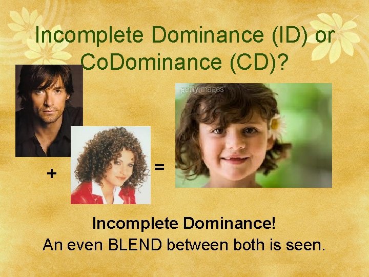 Incomplete Dominance (ID) or Co. Dominance (CD)? + = Incomplete Dominance! An even BLEND