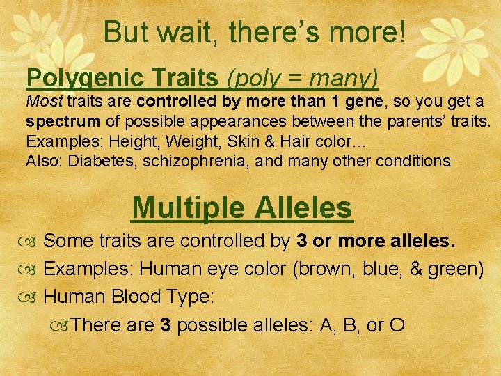 But wait, there’s more! Polygenic Traits (poly = many) Most traits are controlled by