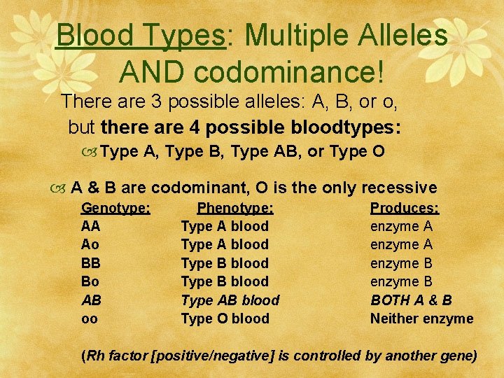 Blood Types: Multiple Alleles AND codominance! There are 3 possible alleles: A, B, or