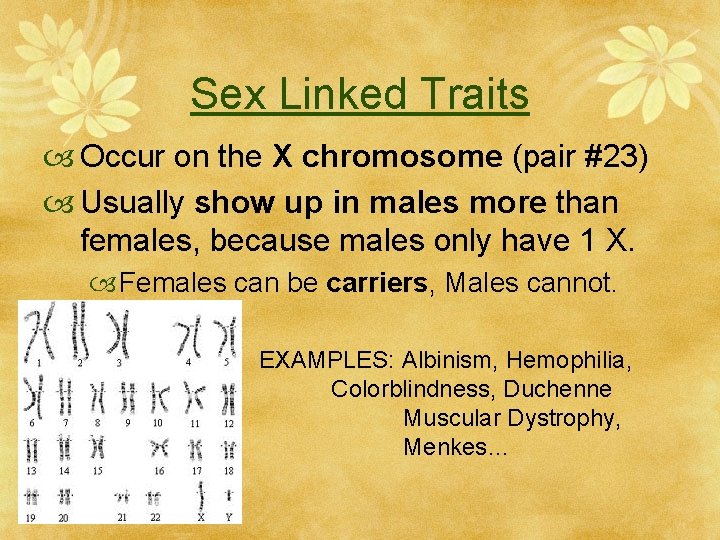 Sex Linked Traits Occur on the X chromosome (pair #23) Usually show up in