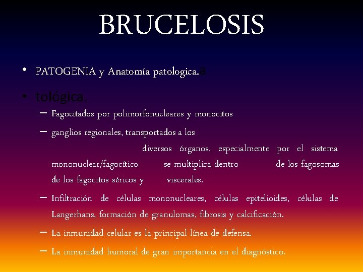 BRUCELOSIS • PATOGENIA y Anatomía patologica. a • tológica. – Fagocitados por polimorfonucleares y