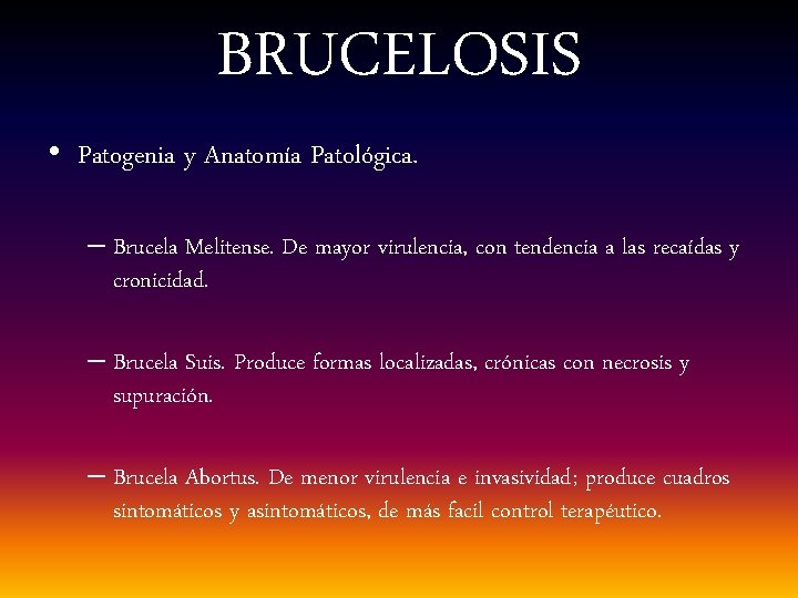 BRUCELOSIS • Patogenia y Anatomía Patológica. – Brucela Melitense. De mayor virulencia, con tendencia