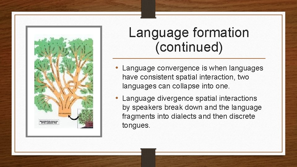 Language formation (continued) • Language convergence is when languages have consistent spatial interaction, two Language formation (continued) • Language convergence is when languages have consistent spatial interaction, two