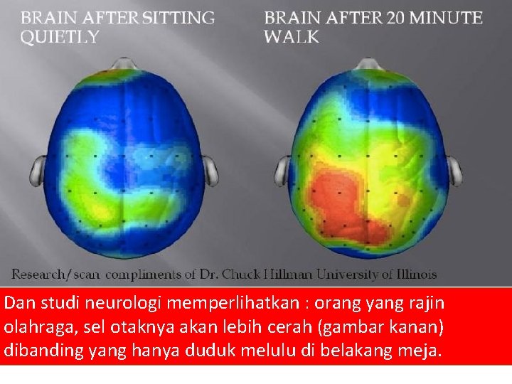 Dan studi neurologi memperlihatkan : orang yang rajin olahraga, sel otaknya akan lebih cerah