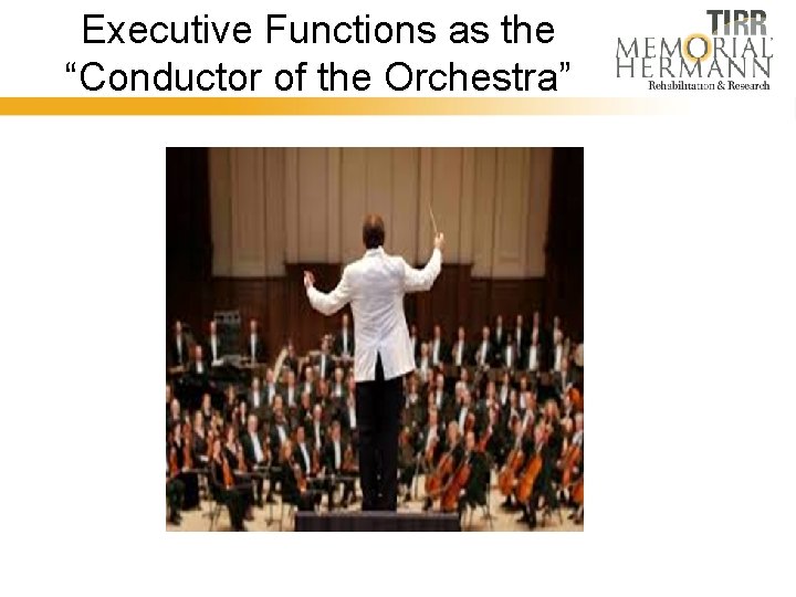 Executive Functions as the “Conductor of the Orchestra” 