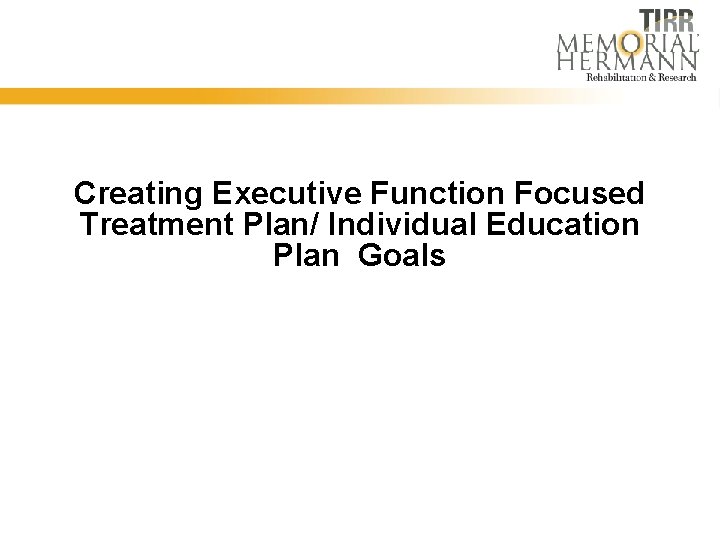Creating Executive Function Focused Treatment Plan/ Individual Education Plan Goals 