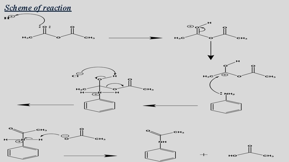 Scheme of reaction 