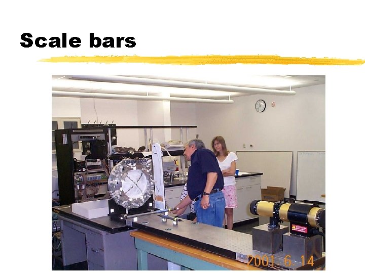 Scale bars 