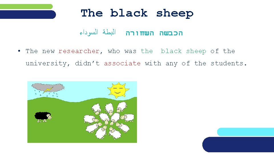 The black sheep ﺍﻟﺒﻄﺔ ﺍﻟﺴﻮﺩﺍﺀ הכבשה השחורה • The new researcher, who was the