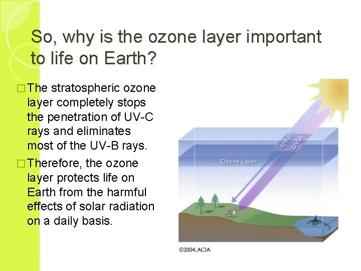 So, why is the ozone layer important to life on Earth? � The stratospheric
