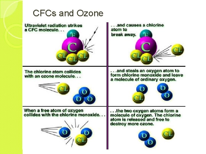 CFCs and Ozone 
