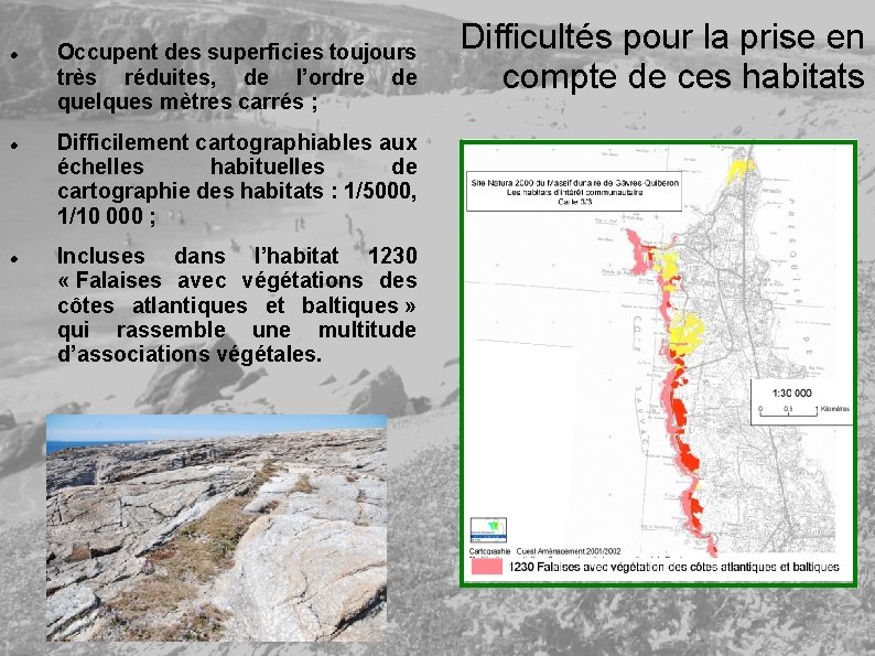  Occupent des superficies toujours très réduites, de l’ordre de quelques mètres carrés ;