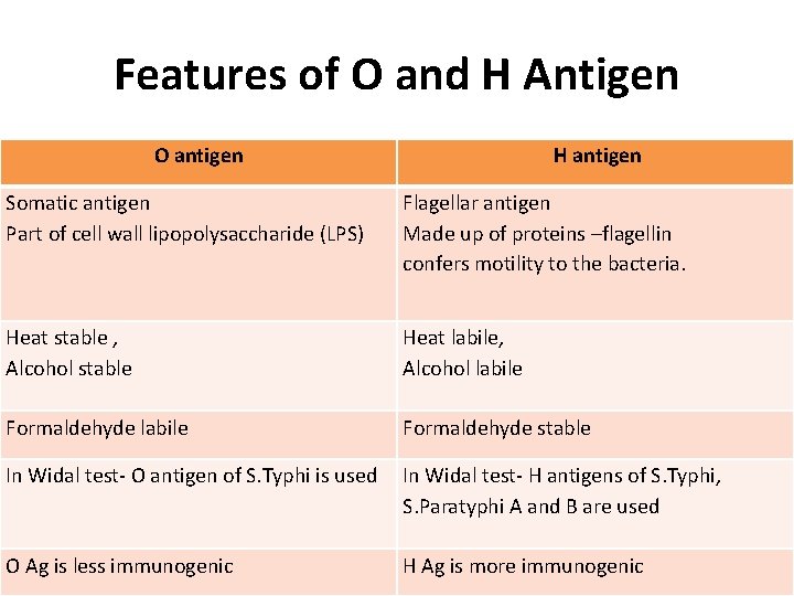 Features of O and H Antigen O antigen H antigen Somatic antigen Part of