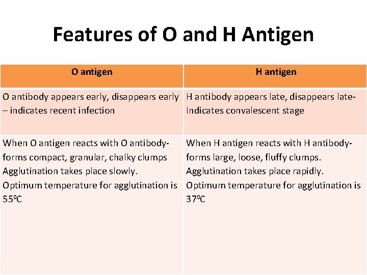 Features of O and H Antigen O antigen H antigen O antibody appears early,