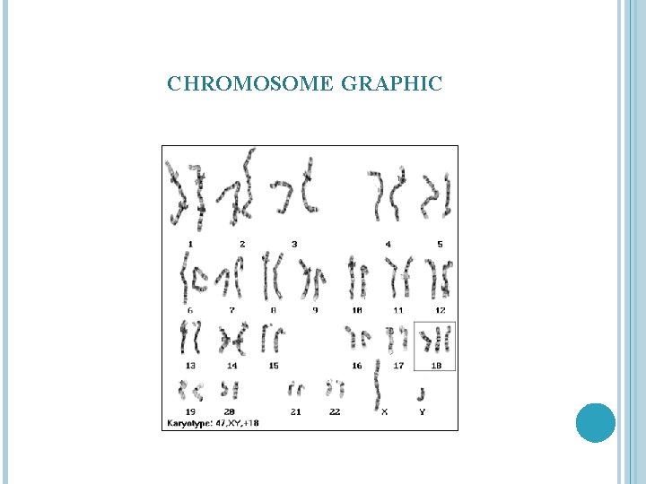 CHROMOSOME GRAPHIC 