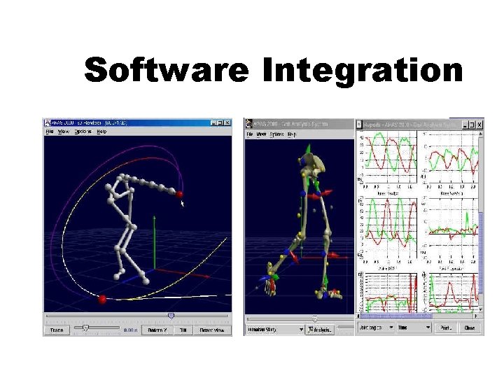 Software Integration 