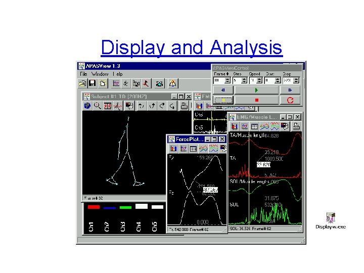 Display and Analysis 