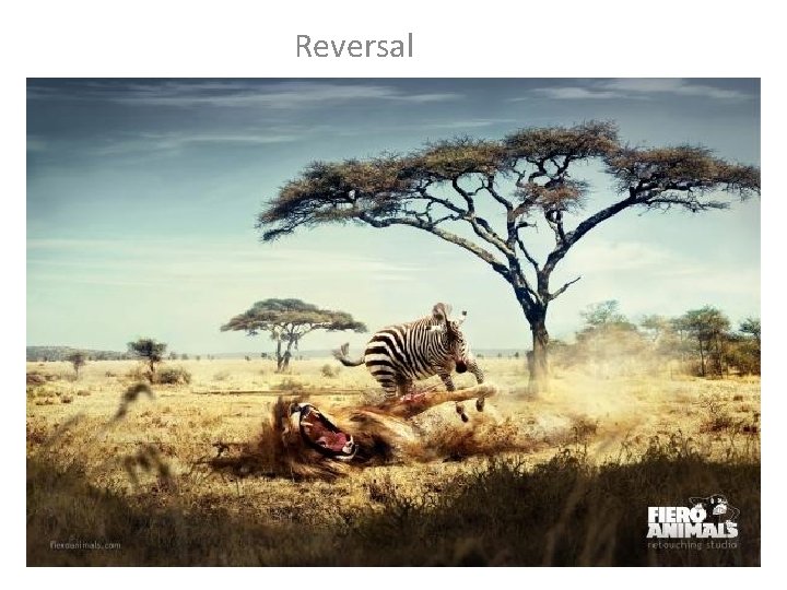 Reversal 