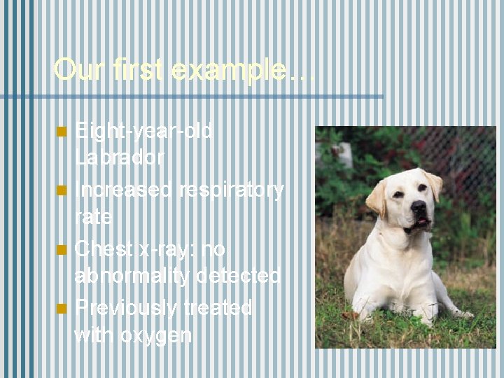 Our first example… Eight-year-old Labrador n Increased respiratory rate n Chest x-ray: no abnormality