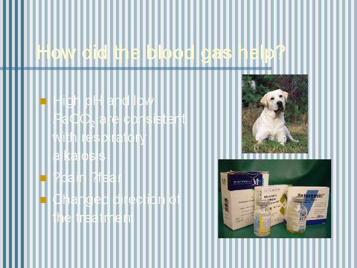 How did the blood gas help? n High p. H and low Pa. CO