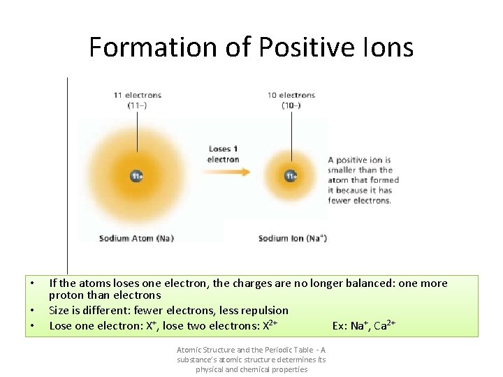 Formation of Positive Ions • • • If the atoms loses one electron, the