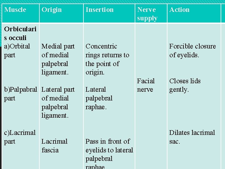 Muscle Origin Orbiculari s occuli a)Orbital Medial part of medial palpebral ligament. b)Palpabral Lateral