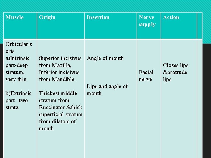 Muscle Orbicularis oris a)Intrinsic part-deep stratum, very thin b)Extrinsic part –two strata Origin Insertion