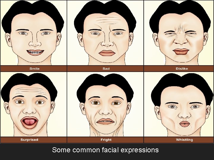 Some common facial expressions 