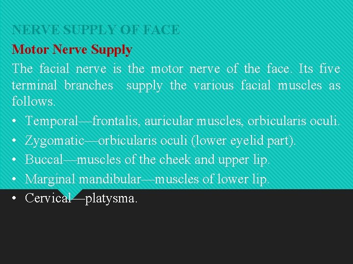 NERVE SUPPLY OF FACE Motor Nerve Supply The facial nerve is the motor nerve