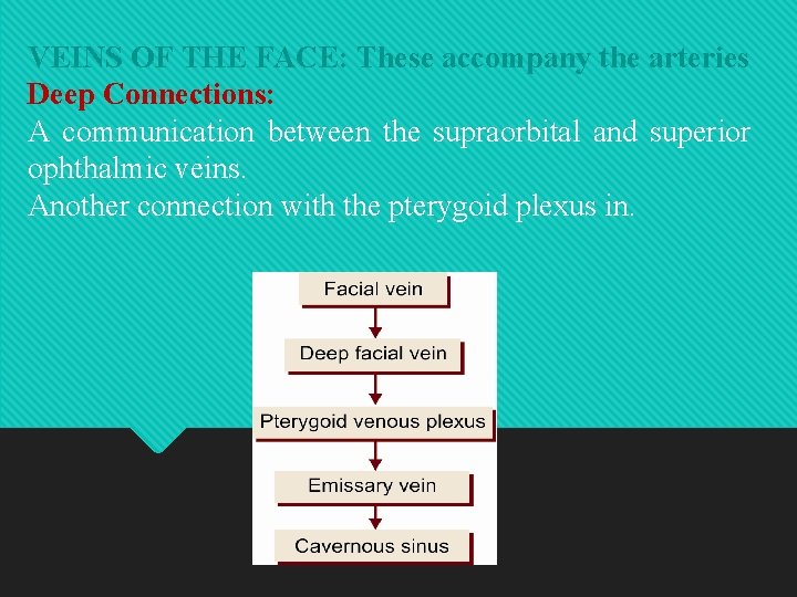 VEINS OF THE FACE: These accompany the arteries Deep Connections: A communication between the