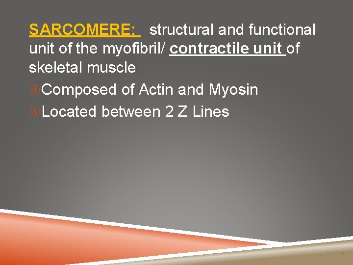 SARCOMERE: structural and functional unit of the myofibril/ contractile unit of skeletal muscle Composed