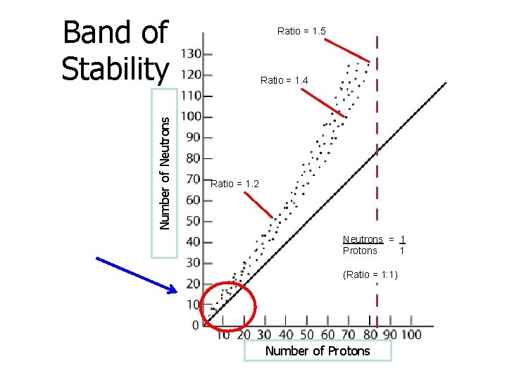 Number of Neutrons Band of Stability Ratio = 1. 5 Ratio = 1. 4