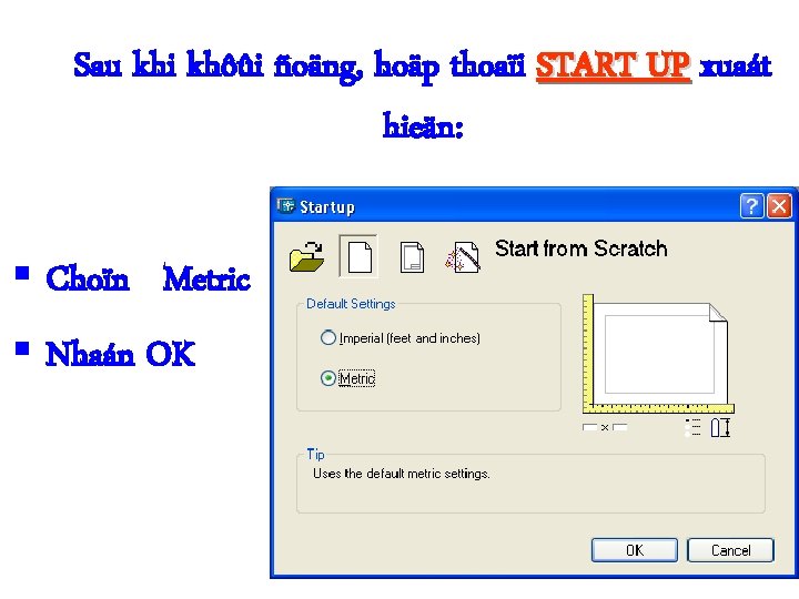 Sau khi khôûi ñoäng, hoäp thoaïi START UP xuaát hieän: § Choïn Metric §