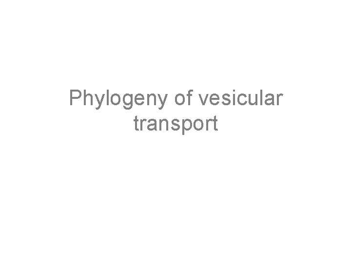 Phylogeny of vesicular transport 