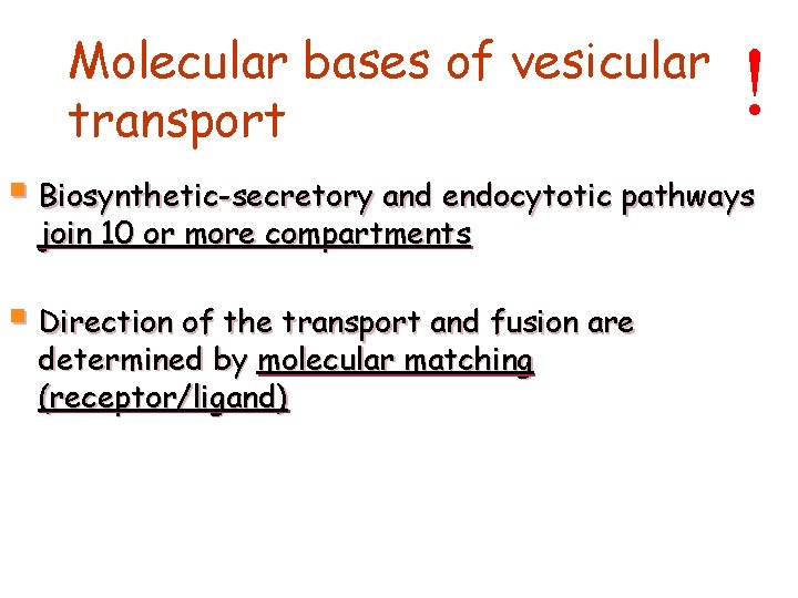 Molecular bases of vesicular transport ! § Biosynthetic-secretory and endocytotic pathways join 10 or