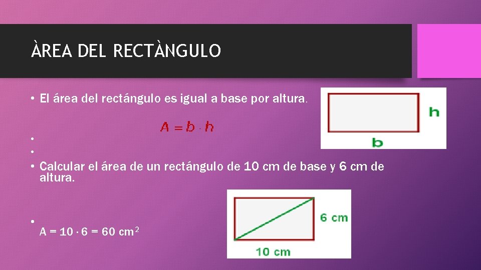 ÀREA DEL RECTÀNGULO • El área del rectángulo es igual a base por altura.