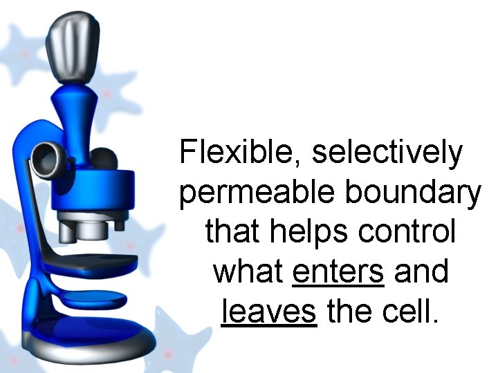 Flexible, selectively permeable boundary that helps control what enters and leaves the cell. 