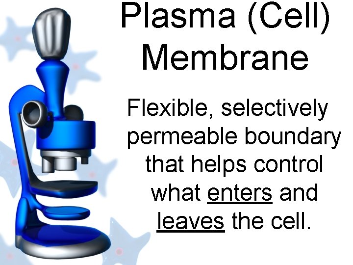Plasma (Cell) Membrane Flexible, selectively permeable boundary that helps control what enters and leaves