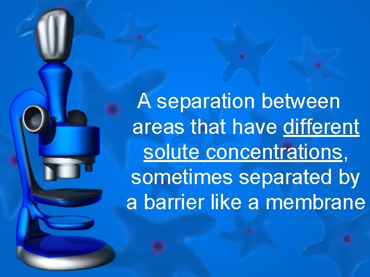 A separation between areas that have different solute concentrations, sometimes separated by a barrier