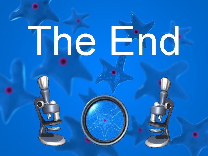 The End 