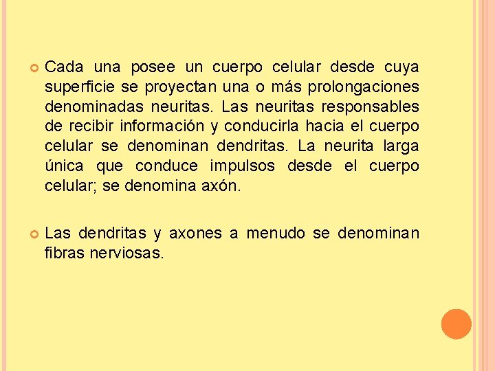  Cada una posee un cuerpo celular desde cuya superficie se proyectan una o