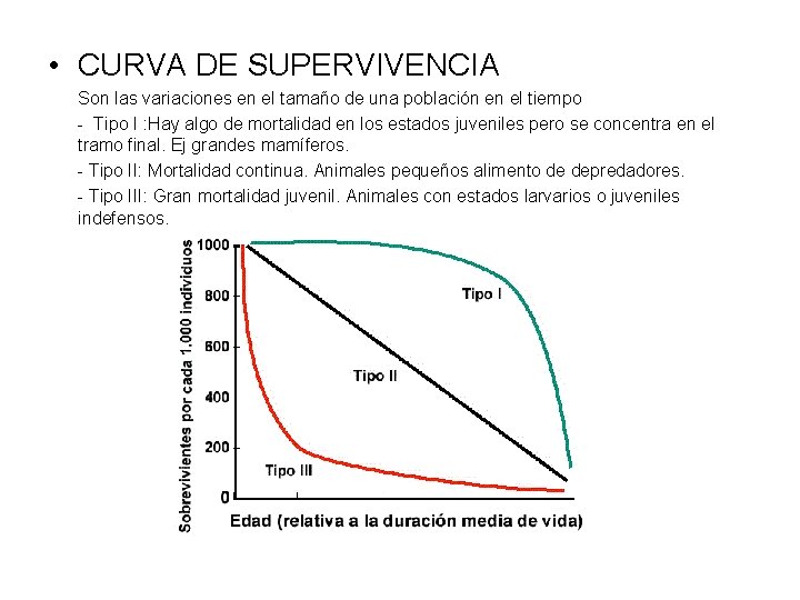  • CURVA DE SUPERVIVENCIA Son las variaciones en el tamaño de una población