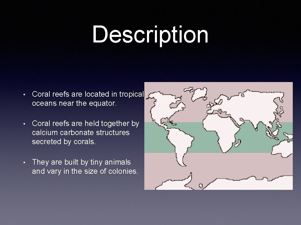 Description • Coral reefs are located in tropical oceans near the equator. • Coral