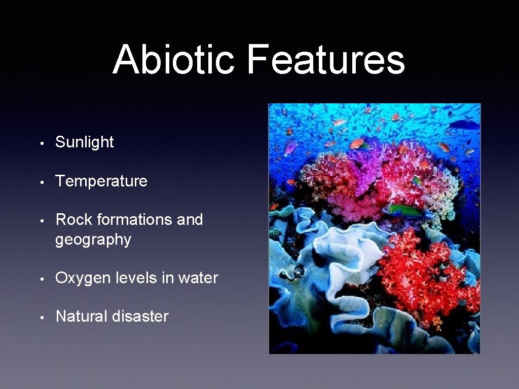 Abiotic Features • Sunlight • Temperature • Rock formations and geography • Oxygen levels
