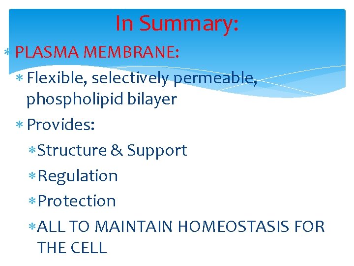 In Summary: PLASMA MEMBRANE: Flexible, selectively permeable, phospholipid bilayer Provides: Structure & Support Regulation