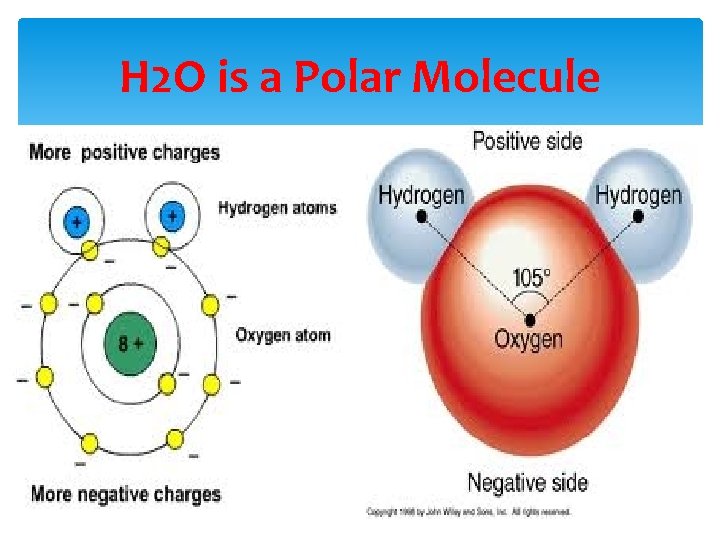 H 2 O is a Polar Molecule 