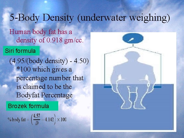 5 -Body Density (underwater weighing) Human body fat has a density of 0. 918