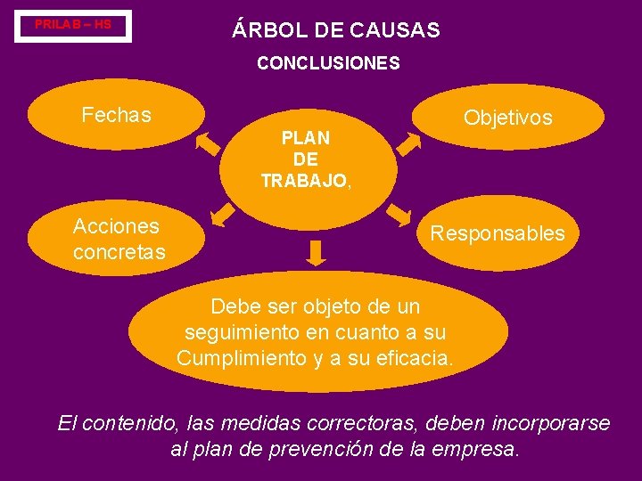 PRILAB – HS ÁRBOL DE CAUSAS CONCLUSIONES Fechas Objetivos PLAN DE TRABAJO, Acciones concretas