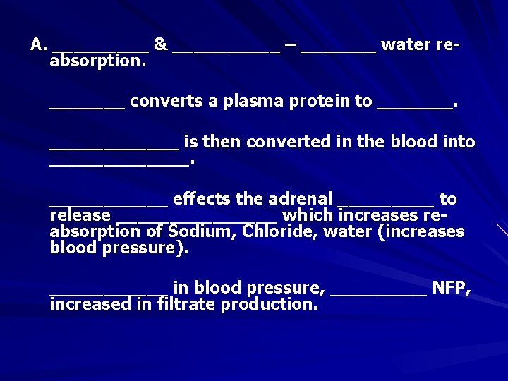 A. _____ & _____ – _______ water reabsorption. _______ converts a plasma protein to