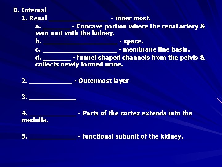 B. Internal 1. Renal ________ - inner most. a. _______ - Concave portion where